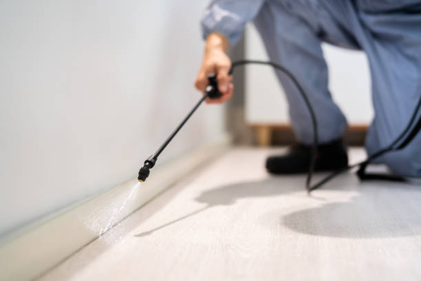Licensed Cockroach Control service in Knightdale, NC - Nex Pest Control