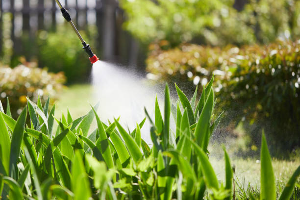 24/7 Emergency Cockroach Control experts in Knightdale, NC