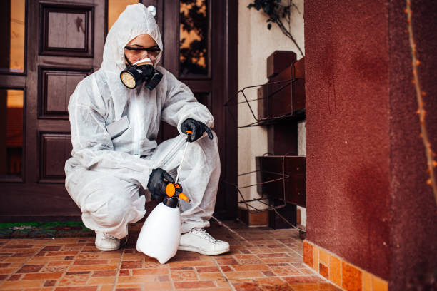 Reliable Cockroach Control contractor in Knightdale, NC by Nex Pest Control
