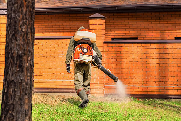 Top rated local Cockroach Control specialists in Knightdale, NC